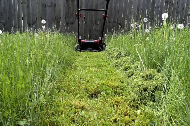 Lawn Repair