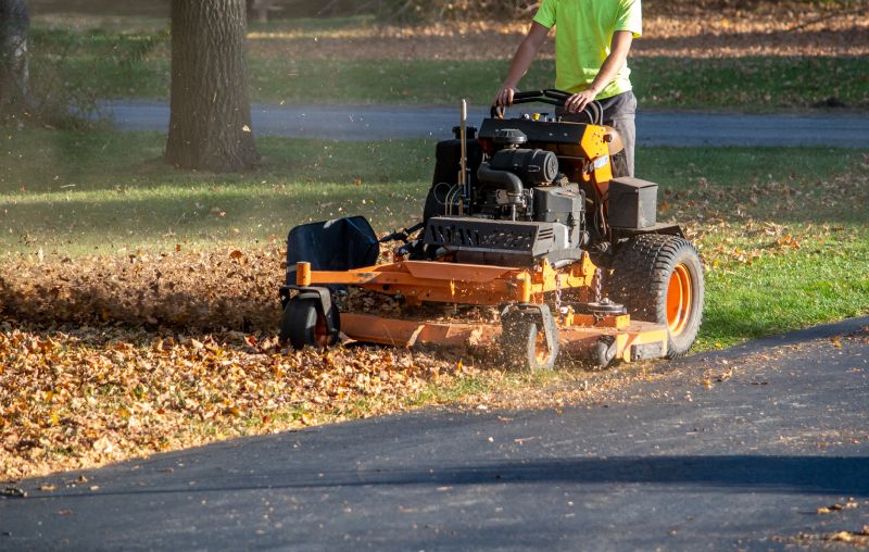 Seasonal Lawn Equipment