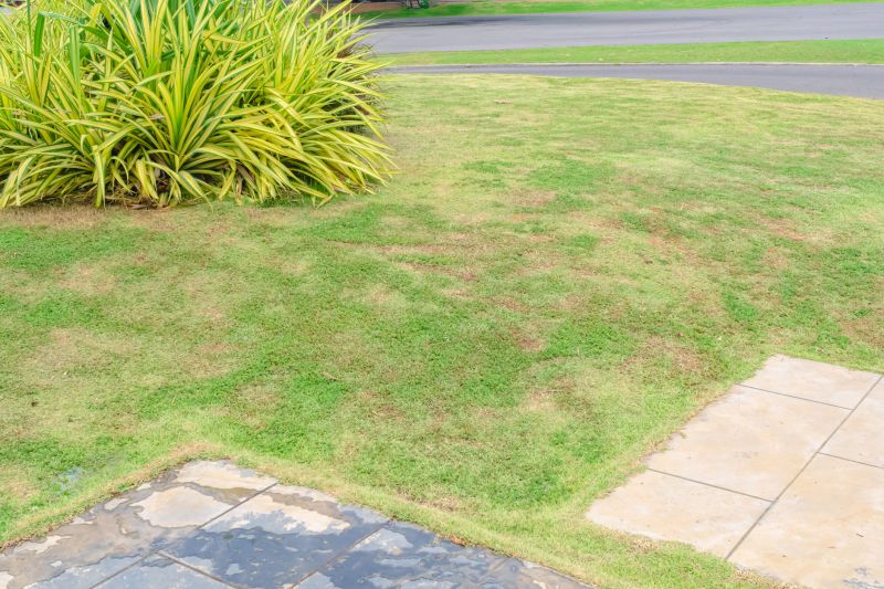 Lawn Repair