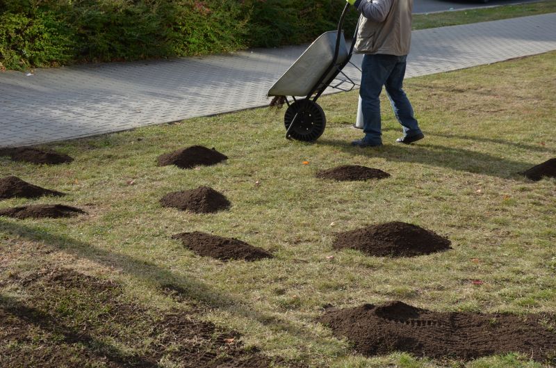 Lawn Repair
