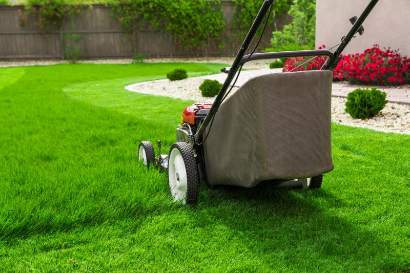 Lawn Repair Equipment