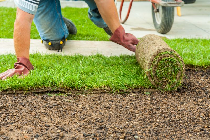 Sod Installation Professionals